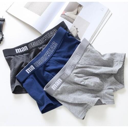 Luxury Male Panties men cotton underpants male pure men panties shorts underwear boxer shorts cotton solid cuecas 1PC