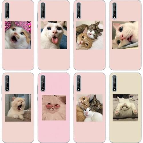Cute Cat Kitten Catling Soft Silicone Phone Case for Huawei Y5 Lite 2018 Y6 Y7A Y9A Prime 2018 Y9 2019 Y9S Y5P Y6P Y7P Y8P Cover