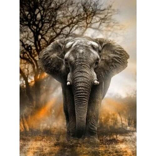 Full Round Drill 5D DIY diamond painting Elephant Diamond Embroidery Cross Stitch Animal Home Decor Gift