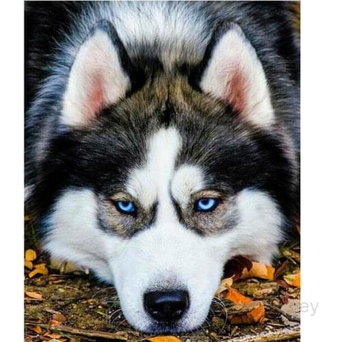 3d wallpaper wolf,5D Diy Diamond Painting,Stitch Cross,full Diamond Embroidery mazayka Diamond Mosaic Stickers Home Decoration