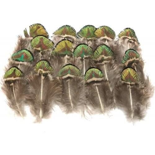 Wholesale 100Pcs/Lot Natural Gold Peacock Feather 3-7CM 1-3inch Pheasant Feathers for Crafts for Jewelry Making Plumes Plumas