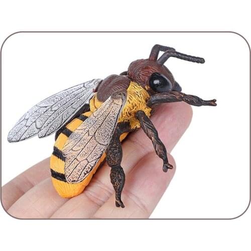 Bee Wasp Insect Model Wasp Plastic Simulation F6L2