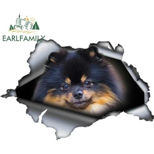 EARLFAMILY 13cm x 8.8cm Black and Brown Pom Car Sticker Torn Metal Decal Reflective Stickers Car Styling Pomeranian Decal