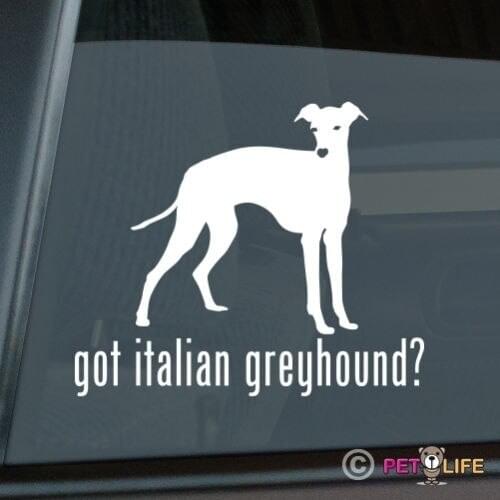 Got Italian Greyhound Sticker Die Cut Vinyl - iggy ig window decal