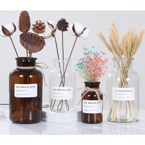 Nordic Glass Vase Home Creative Jewelry Ornaments Transparent Dried Flower Hydroponic Small Brown Bottle Vase Bedside Decoration