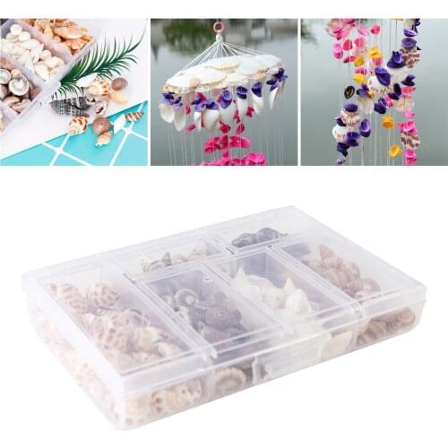 100g Multiple Mixed Natural Sea Shells Conch Decorative Fit Fishes Tank Beach Decor Beach Theme Party Home Jewelry Decorations