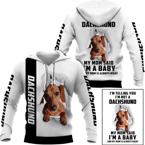 Funny Dachshund 3D Printed Hoodies Fashion Pullover Men For Women Animal Sweatshirts Sweater Cosplay Costumes