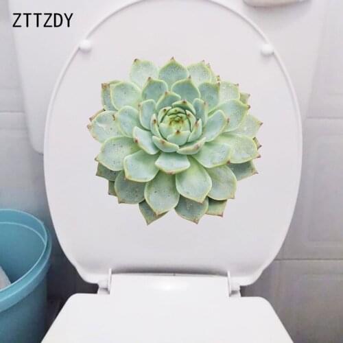 ZTTZDY 22.9×21.9CM Moonshadow Succulents Creative Plants Wall Stickers Modern Art Home Toilet Decoration T6-0107