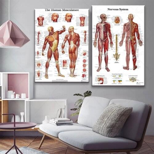 Human Anatomy Muscles System Art Poster Print Body Map Canvas Wall Pictures for Science Medicine Bedroom Decor
