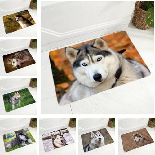Pet Dog Animal Flannel Carpet Floor Mat for Bedroom Hallway Decor Funny Siberian Husky Dog Rug Door Mat Non-Slip Doormat 40x60cm