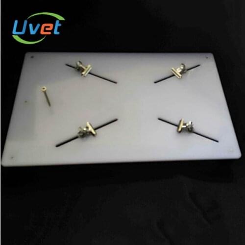 Veterinary animal Anatomy surgery station Plexiglass Mouse frog Small animals experiment fixed Anatomy Device Experiment Tool