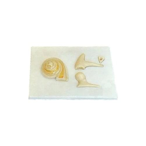 Otosteon and Periosteal enlargement model Human ear anatomy 4X 27*20*10cm free shipping