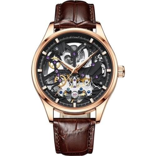 AILANG Men Watches Casual Luxury Relogio Masculino Business Gold Luminous Tourbillon Skeleton Waterproof Automatic Sport 8607G