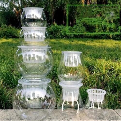 Hydroponic Transparent Plastic Vase Hydroponic Plant Flowerpot Hydroponic Plant Fixed Container Green Radish Round Plastic Vase