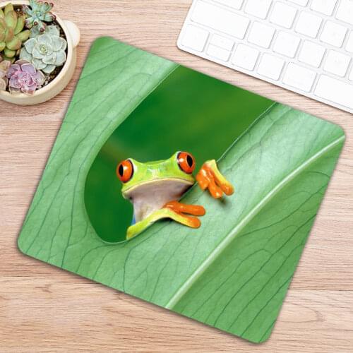 Animal Frog Rubber Gamer Mousepad Game Computer Rectangle Mouse Pad Keyboard Desk Gaming Mause Mice Mat
