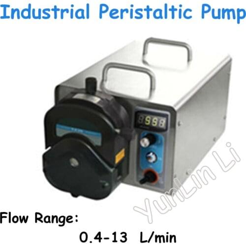 Industrial Peristaltic Pump Speed Control Pump with Brushless Motor Stainless Steel Peristaltic Pump WG600S