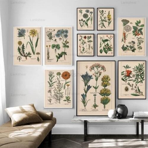 Vintage Botanical Herbs Posters and Prints Home Wall Decor , Antique Plant Botany Wall Art Canvas Painting Pictures for Kitchen