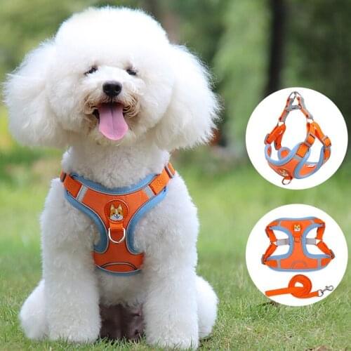 Pet Dog Harness And Leash Set Summer Breathable Chest Harness Dog Leash Puppy Harness Vest Supplies For Small Medium Dogs