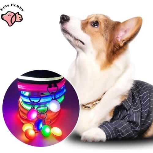 USB Charging LED Pet Dog Collar Light Anti-Lost Avoid Car Accident Collar Luminous Safety Puppy Cat Collars Leads Pet Supplies