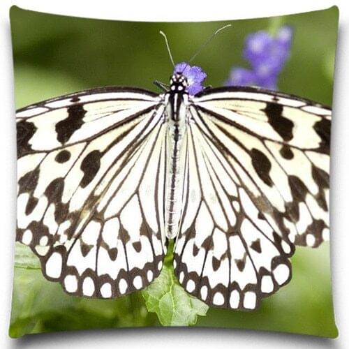 Animals White Butterfly Car Decorative Square Pillow case Style Waist Home Office Coffee Supplies Cushion Cover 5 size 9 style
