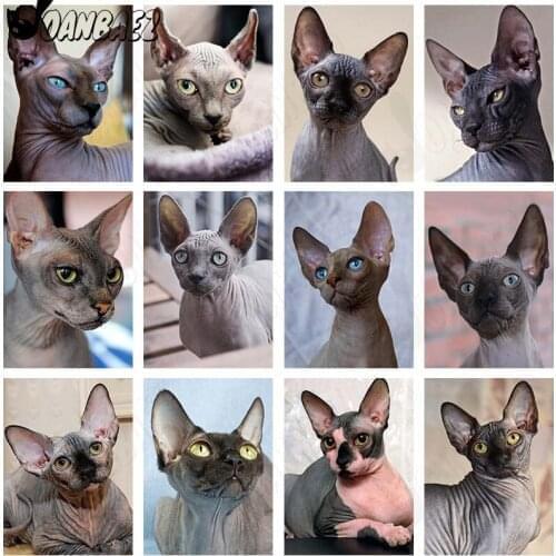 Animal Diamond Painting Hairless Cat Cross Stitch Embroidery Cute Pet Mosaic Kit 5D Diy Hand Inlaid Craft Gift Design Home Decor