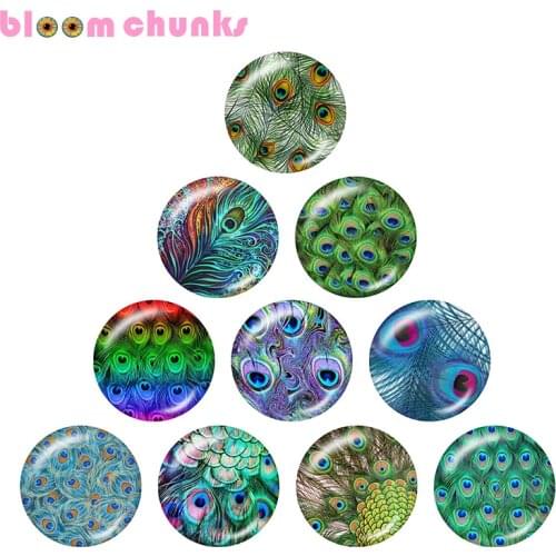 Peacock feather 10pcs mixed 12mm/18mm/20mm/25mm Round glass cabochon jewelry flat back Making findings A4609