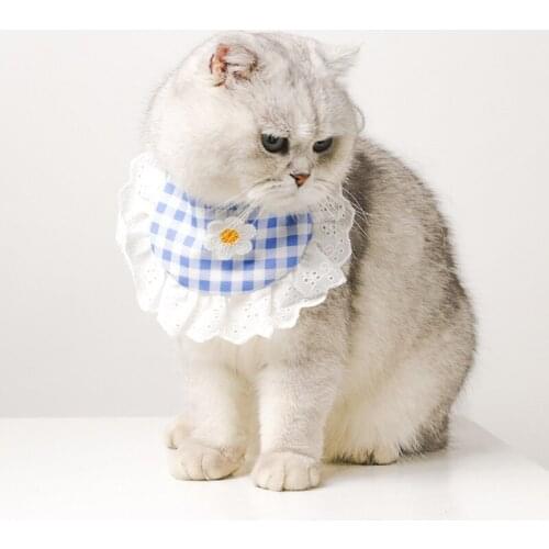 PetApartment Products For Cats