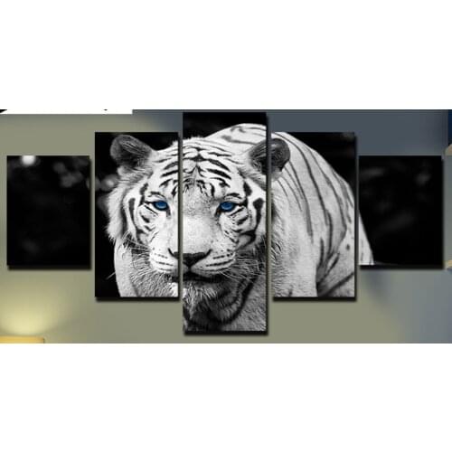 5pcs 5d diy full diamond painting cross stitch"animal White Tiger" home decor,5d square diamond embroidery mosaic wall stickers