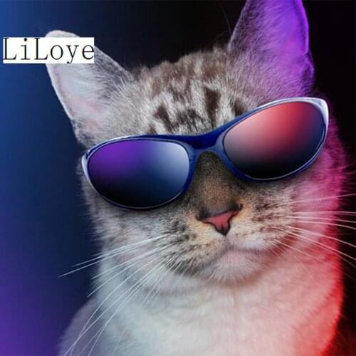 LI LOYE 5D DIY Diamond Painting Animal Cross stitch Drill Embroidery Needlework Craft Full Mosaic Sunglasses cat Home Decor FZ78