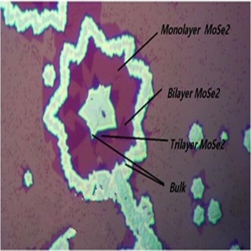 Molybdenum diselenide 10: barium titanate SrTiO3 substrate MoSe2