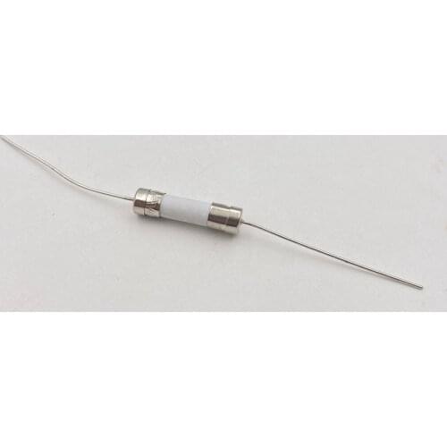 10PCS Fuse 5A Axial 250V T5A H 250V Antisurge Ceramic Body 20mmx5mm For PS4