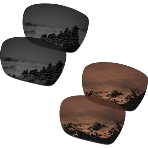 SmartVLT 2 Pairs Polarized Sunglasses Replacement Lenses for Oakley Catalyst Stealth Black and Amber Brown