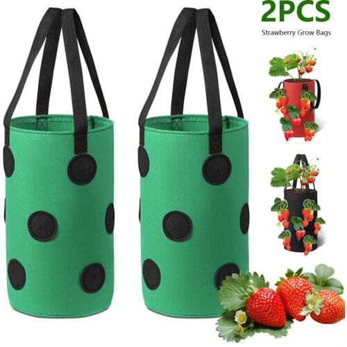 2Pcs 3 Gallons Strawberry Grow Bags for Plants Garden Pots Strawberry Bag Vertical Flower Herb Pouch Reusable Pot Planter Bags
