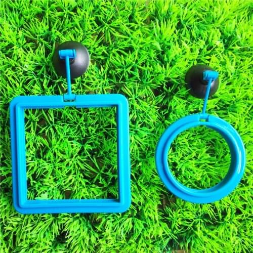 1Pcs Fish Feeding Aquarium Fish Tank Ring Feeder Station Floating Food Water Plant Buoyancy Circle