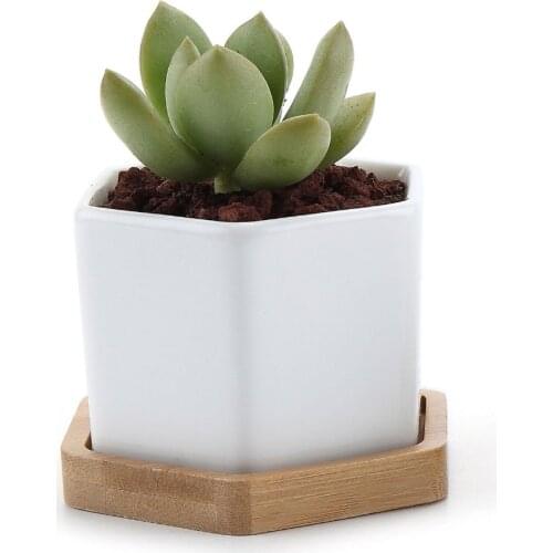 Set of 2 Hexagon Ceramic Flower Pot for Cactus Succulent Plants Bamboo Tray Planter Home Garden Decoration (2 pots + 2 trays)