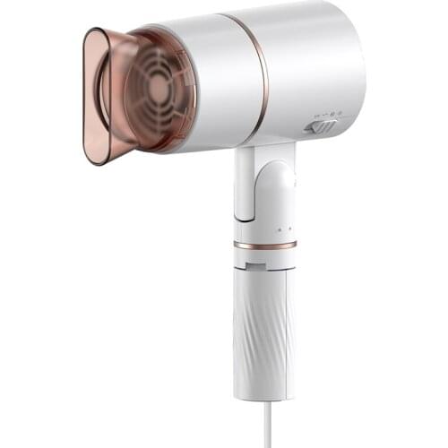 800W Professional Hair Dryer (With Powerful Ac Motor), Negative Ion Technology,2 Speed / Cold Settings US Plug