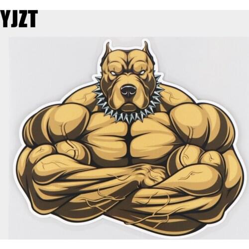 YJZT 17.2×14.8CM Strong American Pitbull Terrier Bumper Decoration Car Stickers Accessories 21A-0154