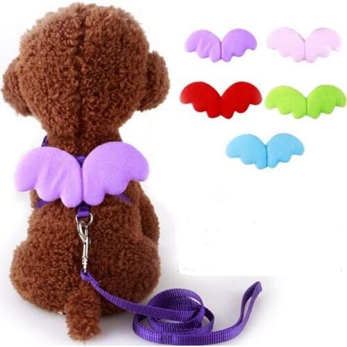 Angel Wing nylon Pet Dog Leashes and Collars Set Puppy Leads for Small Dogs Cat Designer Adjustable Dog Harness Pet Accessories