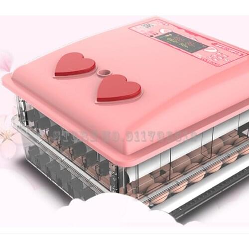 Incubator Small Incubator Household Incubator Intelligent Chick Duck Goose Pigeon Incubator Egg Incubator