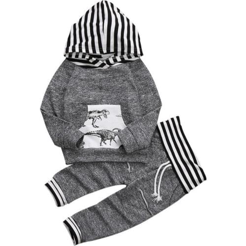 Newborn Baby Winter Autumn Clothes Sets Infant Boys Girls Cartoon Dinosaur Clothes Hoodies Tops Sweatshirts+Pants 2Pcs Outfits