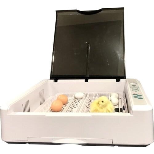 36 chicken incubator EW-36 chicken, duck and bird incubator, breeding incubator equipment, egg incubator