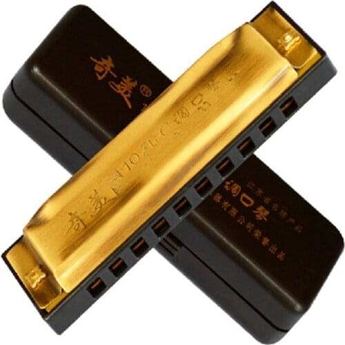 10 Holes Harmonica Brass color Gaita Blues China Famous Brand Harp Blues Musical Instruments Mouth Ogan 10 Holes Harmonica