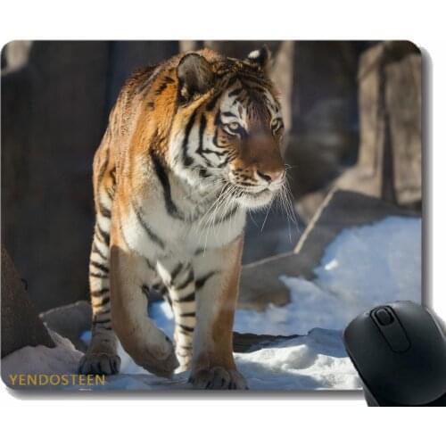 Mouse Pad,Tiger Predator Big Cat Snow 113300 Mouse Pads