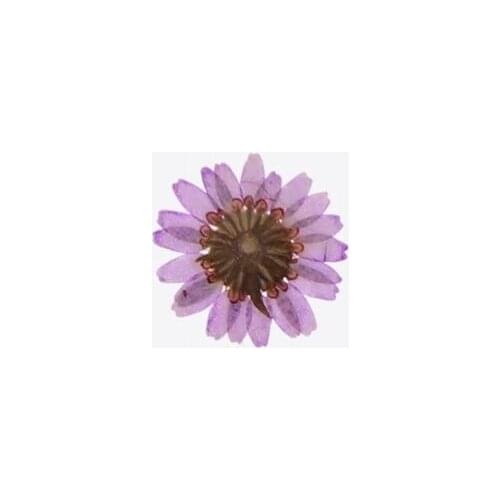 Mix Pressed Flower Leaves Plant Specimen Fillers for Epoxy Resin Jewelry Making R58E