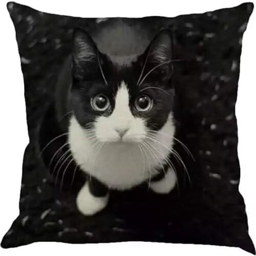 Cat Animal Pattern Decorative Cushions Pillowcase Polyester Cushion Cover Throw Pillow Sofa Decoration Pillowcover Home Couch
