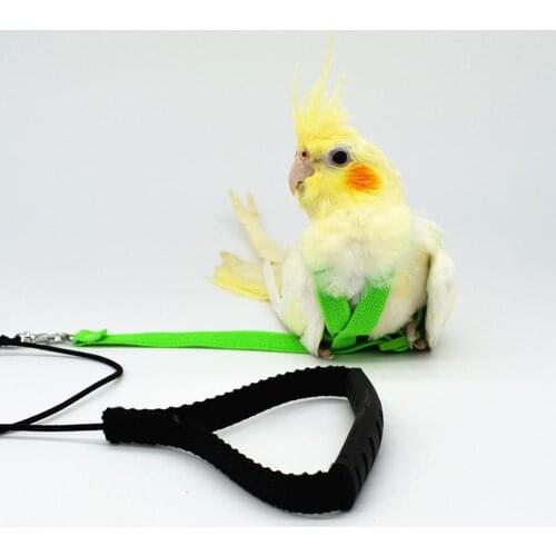 Pet Bird Harness Adjustable Parrot Leash Harness Training Rope Flying Band Bird Rope Outdoor Training Rope Belt Walking Lead