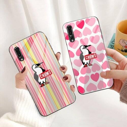 Fashion brand chums bird Phone Case Tempered Glass For Huawei P30 P20 P10 lite honor 7A 8X 9 10 mate 20 Pro