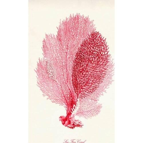 Lot style Choose Nautical Decor Sea Coral Art print Silk poster Home Wall Decor
