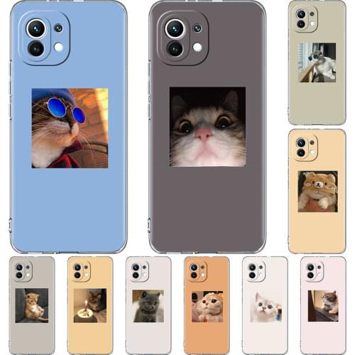 Silicone Phone Case For Xiaomi Mi Poco X3 NFC 10T Pro 11 M3 Note 10 Lite F3 9T F1 11i Clear Soft Back Cover Animal Cute Cat Capa