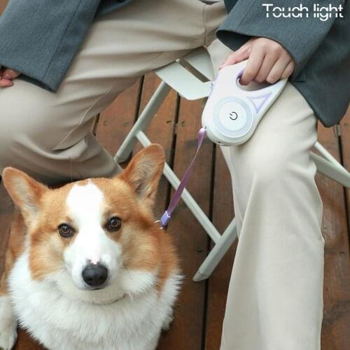 Long 3/5m Retractable Dog Leash Automatic Cat Puppy Nylon Lead for Dogs